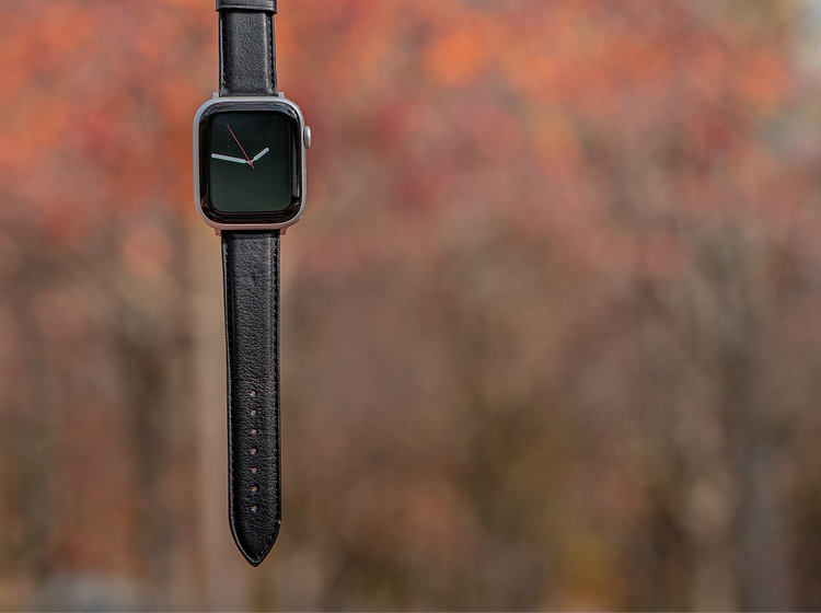 Apple Watch Smooth Leather Band