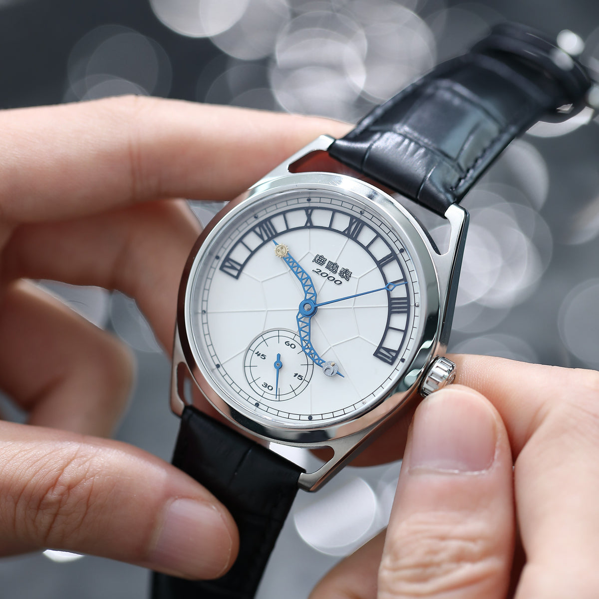 Douze Signes du Zodiaque Commémorative 43mm