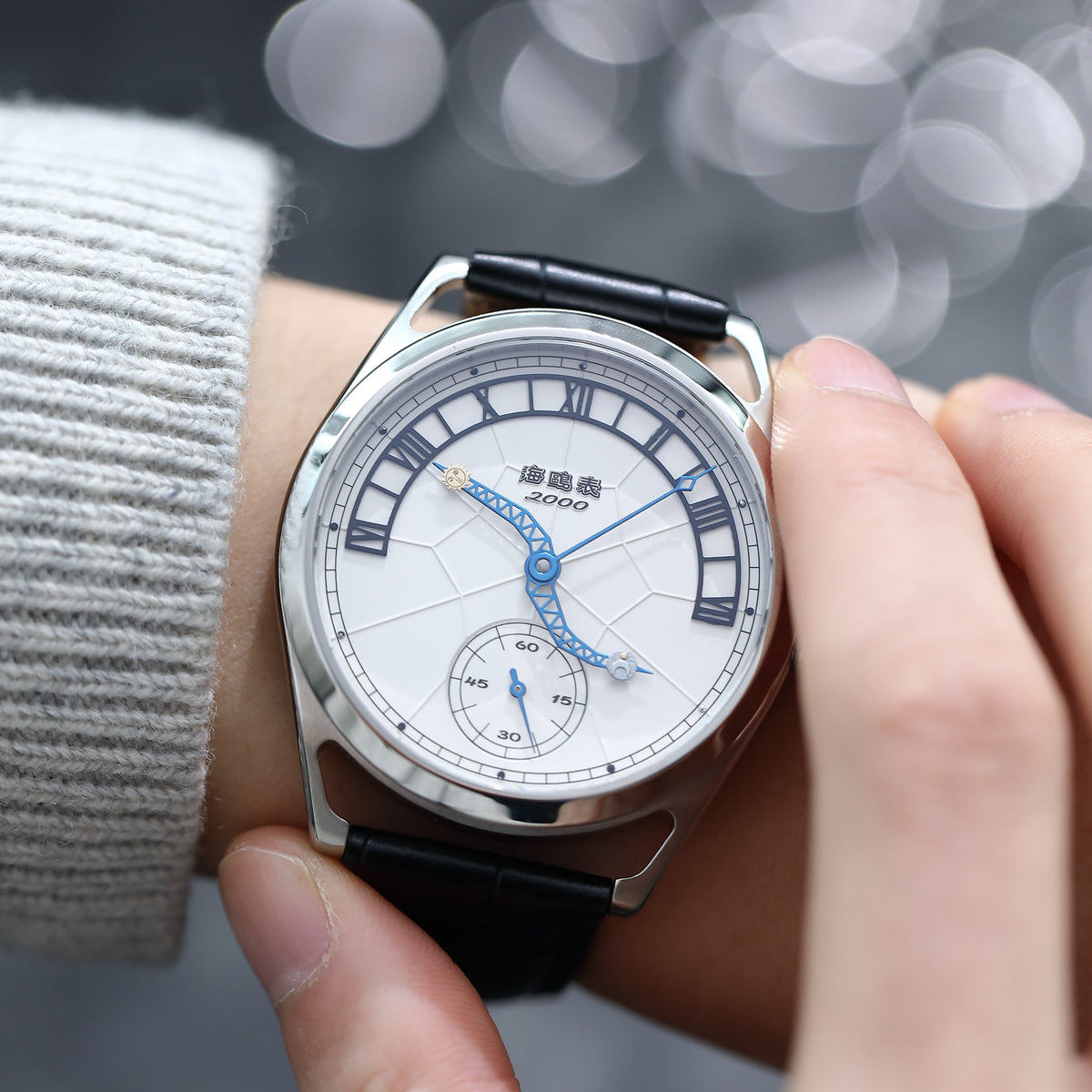 Douze Signes du Zodiaque Commémorative 43mm