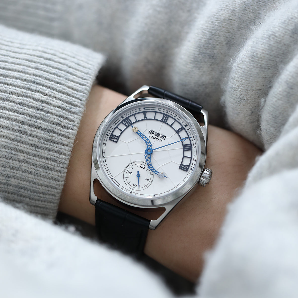 Douze Signes du Zodiaque Commémorative 43mm