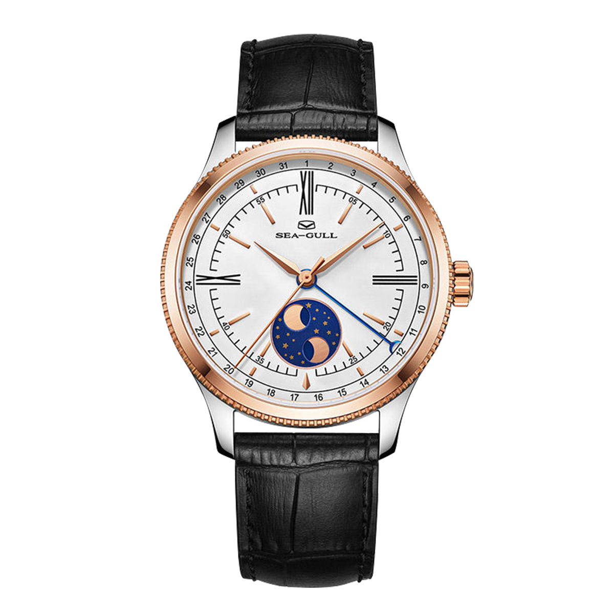 Double Hémisphère Lune Calendrier Habillée 41mm