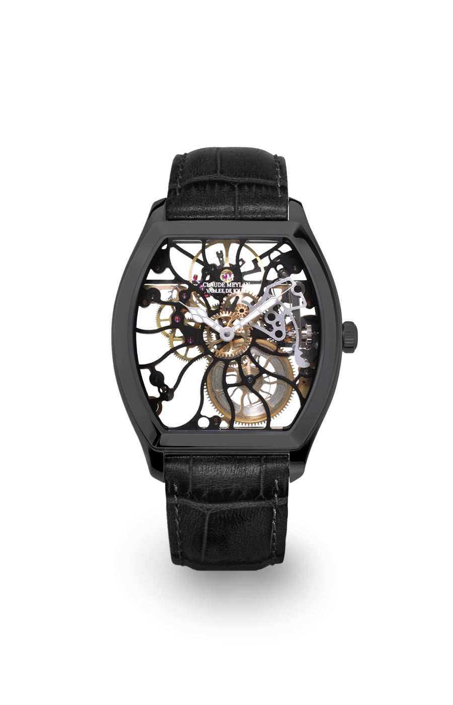 Tortue Raimbow 6047-no 40mm