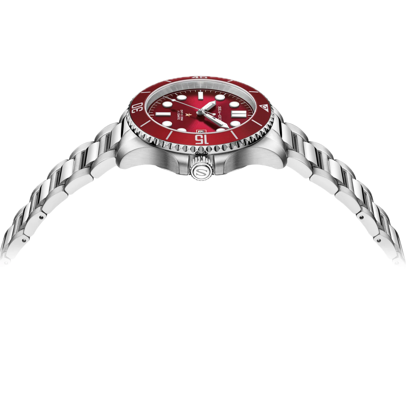 Seagull - Ocean Series