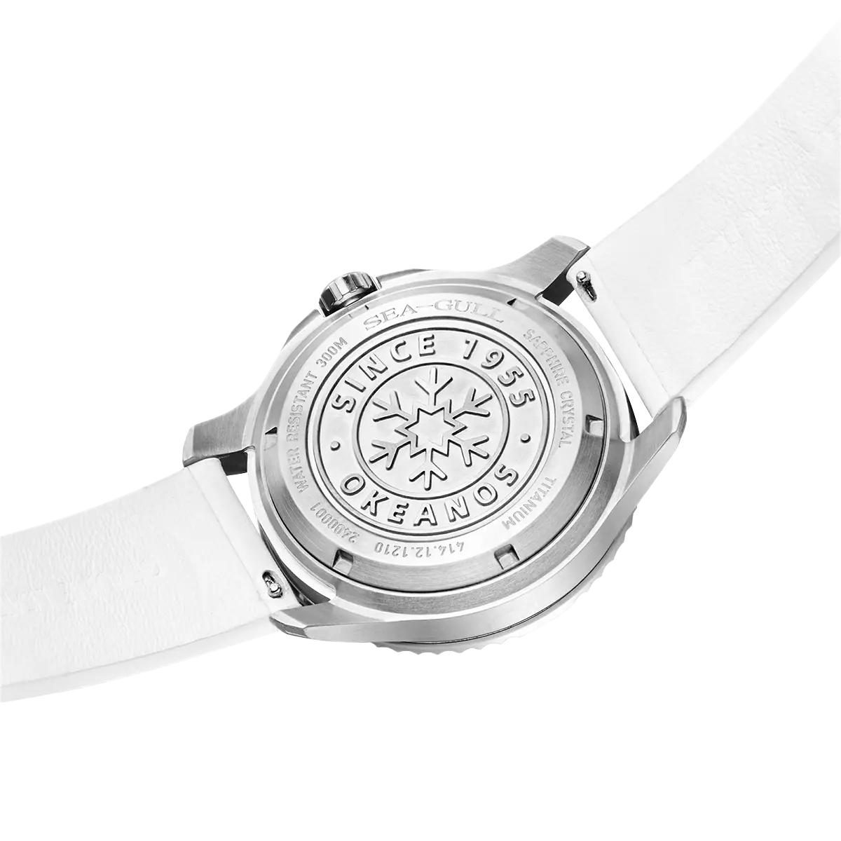 Seagull – Série Océan Pro « Aile de Glace »