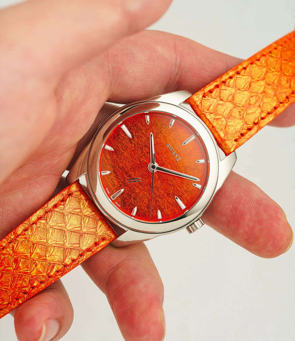 Jurassic Watch T-REX Edition