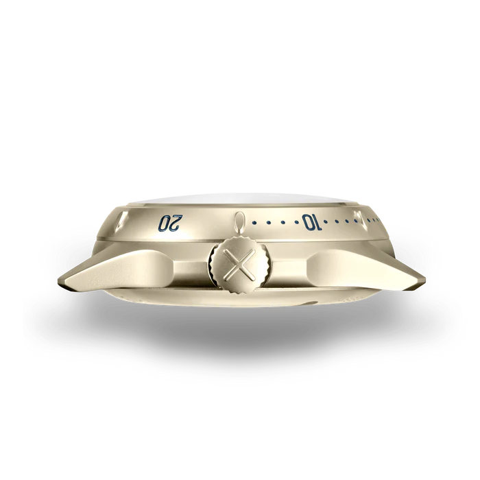 LM01 Type D Steel PVD Gold and Blue dial