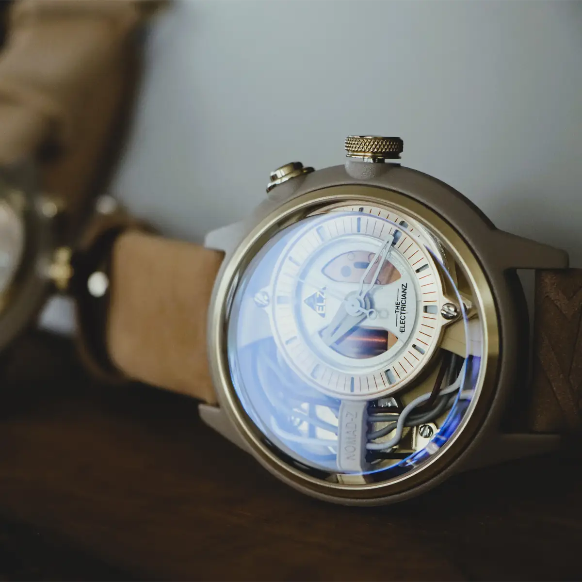 THE ELECTRICIANZ The Nomad Z