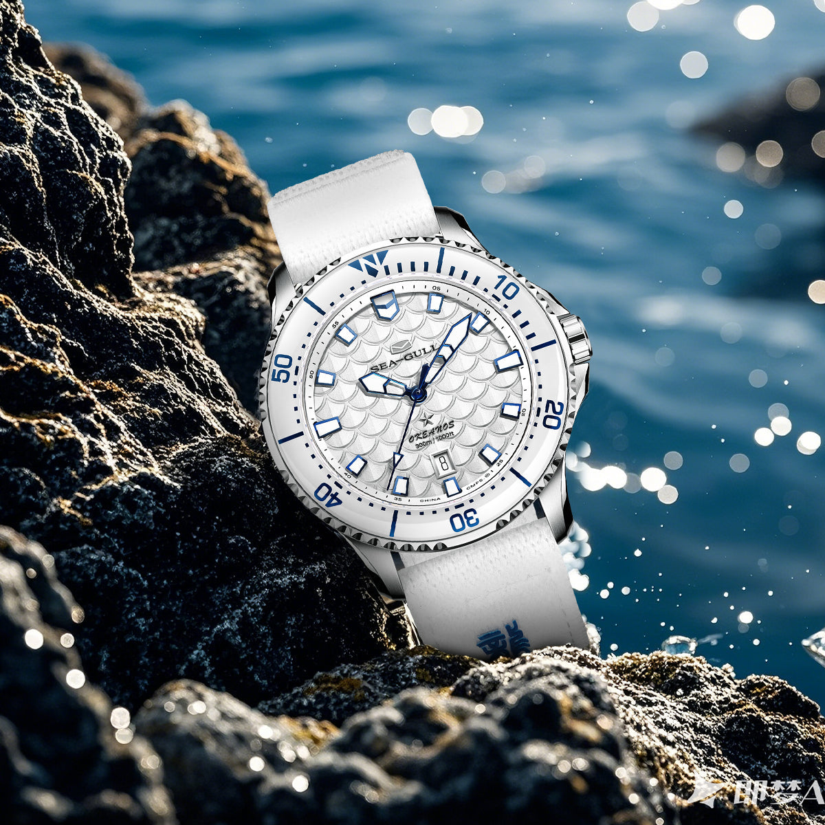 Océan Pro "Rois Dragons des Quatre Mers" Cadran Écailles de Dragon 300m Étanche Plongée 44mm