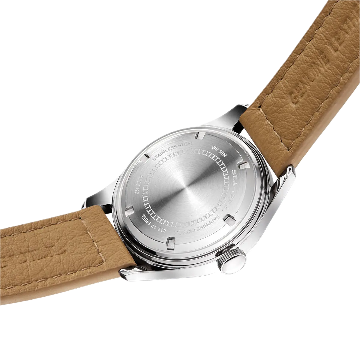 Seagull – Cinq Étoiles