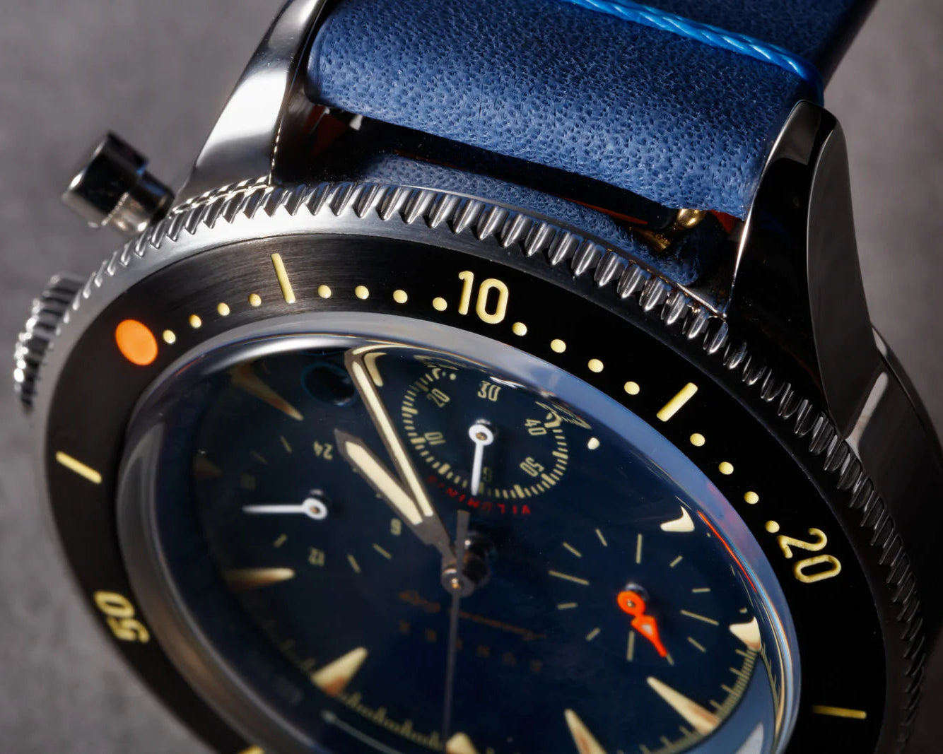 SunRex - Anemone City