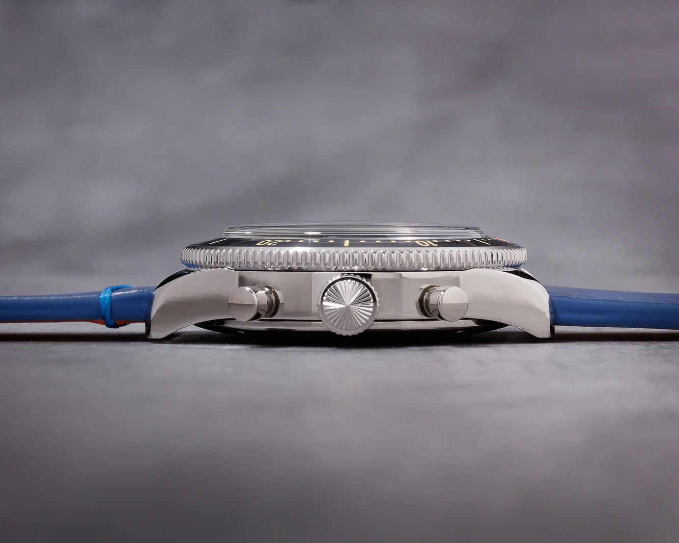 SunRex - Anemone City