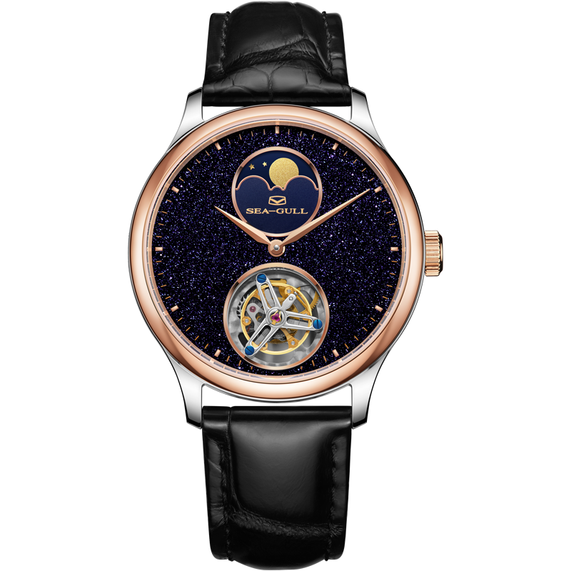 Artisan Ciel Étoilé Phase de Lune Coaxial Tourbillon 42mm