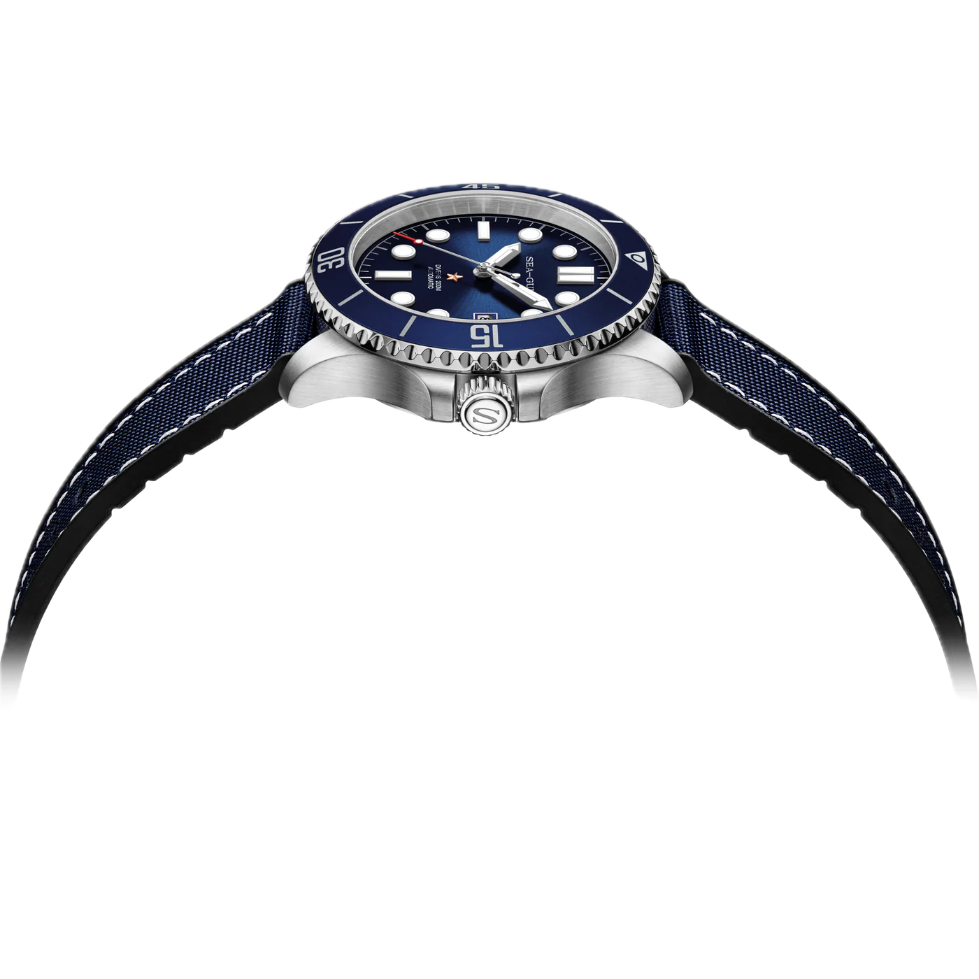 Seagull - Ocean Series