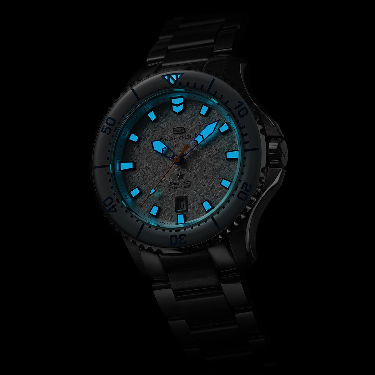 Océan Pro 300m Étanche Aile de Glace Plongée 43.5mm