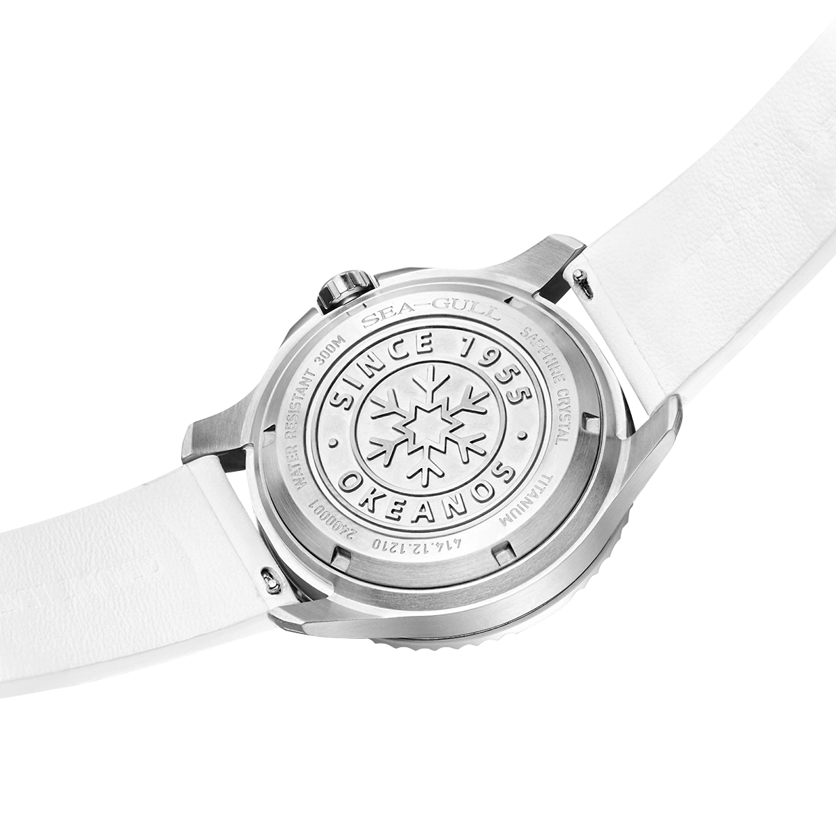 Océan Pro Édition Spéciale 300m Étanche Titane Cadran Texturé Glace Plongée 43mm