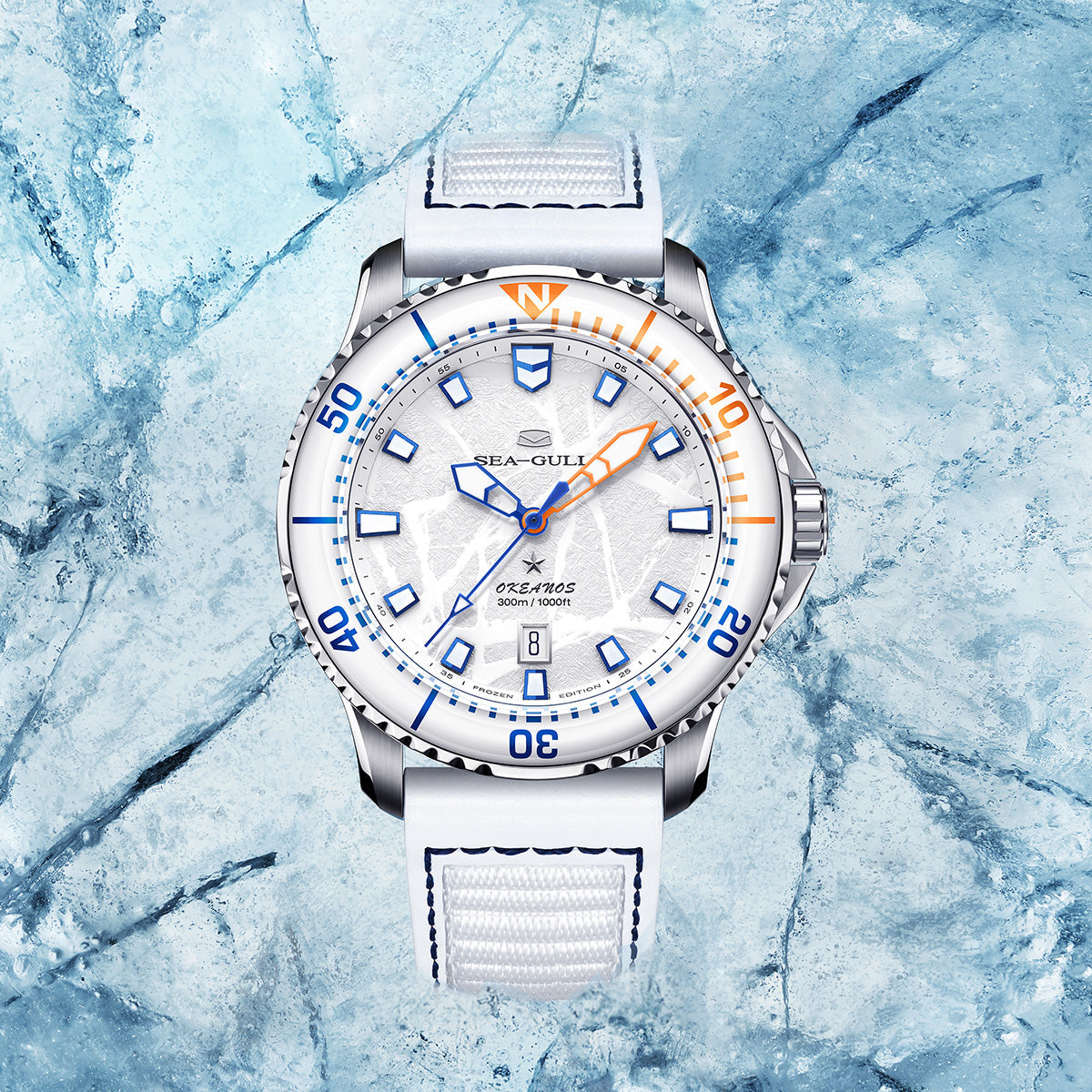 Océan Pro Édition Spéciale 300m Étanche Titane Cadran Texturé Glace Plongée 43mm